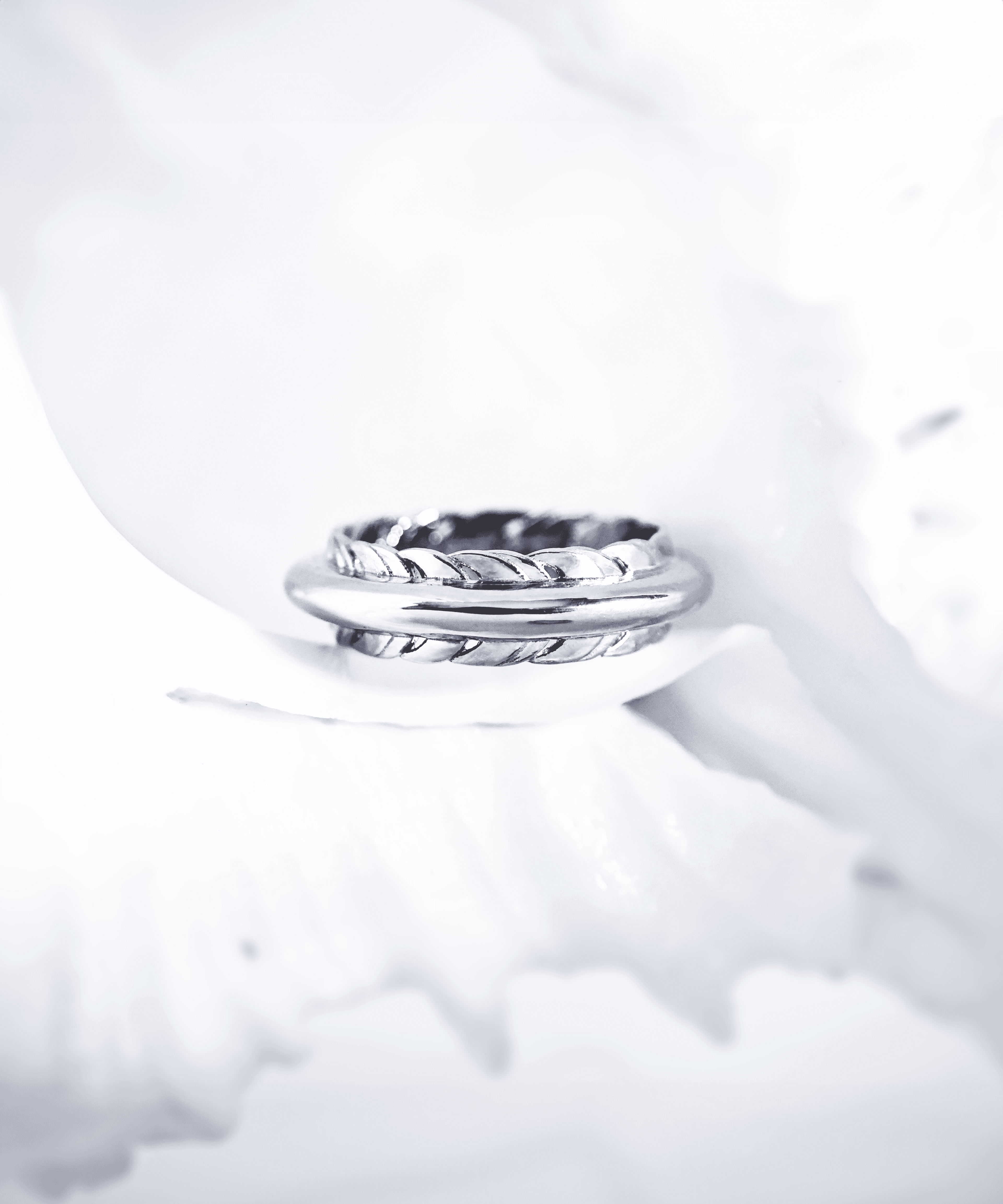 Dark side of the moon ring